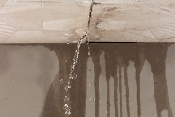 Professional Water Damage Repair technician working in Batavia, NY